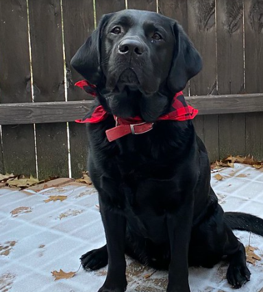 MeWe - The Next-Gen Social Network